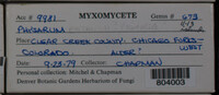 Image Associated With the Occurence